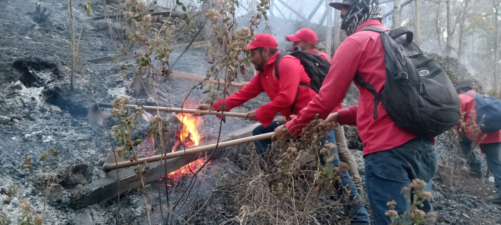 BRIGADISTAS DE ECOLOGÍA Y MEDIO AMBIENTE Y VOLUNTARIOS COMBATEN INECNDIO FORESTAL EN SCLC – H. Ayuntamiento de San Cristóbal de Las Casas