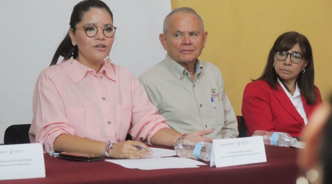 Baja feminicidio en Michoacán: Seimujer