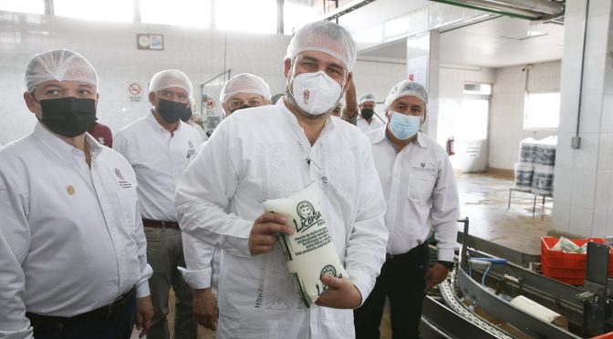 Aumenta 148% captación de leche de ganaderos michoacanos en Liconsa: Bedolla
