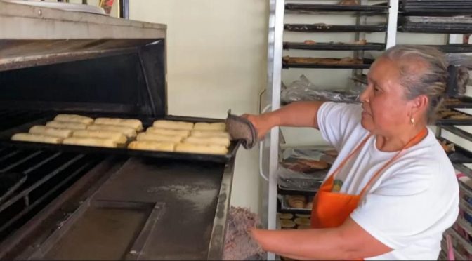 Créditos empoderan a mujeres; se generaron y conservaron 11 mil empleos: SiFinancia