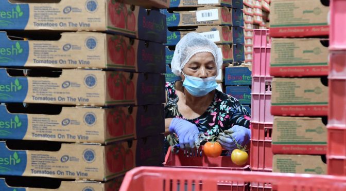 Empresas cumplen con acreditación laboral; van 2 mil 500 registros: Sedeco