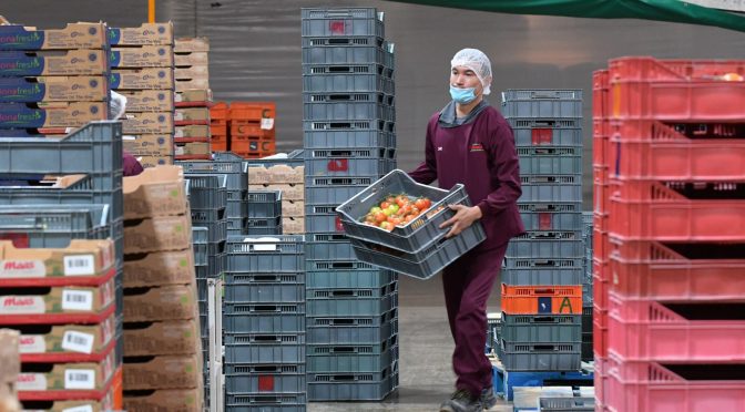 En septiembre se crearon más de 3 mil 200 empleos formales en Michoacán: Sedeco