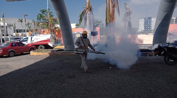 Brigadistas michoacanos protegieron contra el dengue a 600 mil habitantes de Acapulco