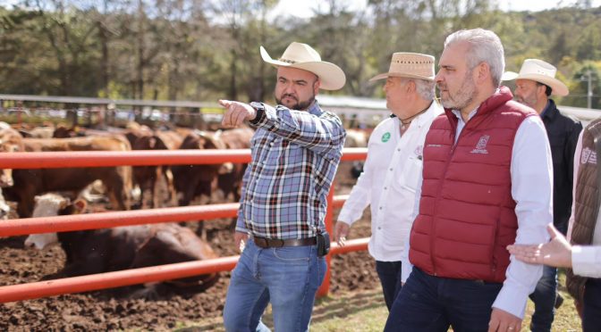 Continúa respaldo a ganaderos; Bedolla entrega apoyos a productores de Morelia