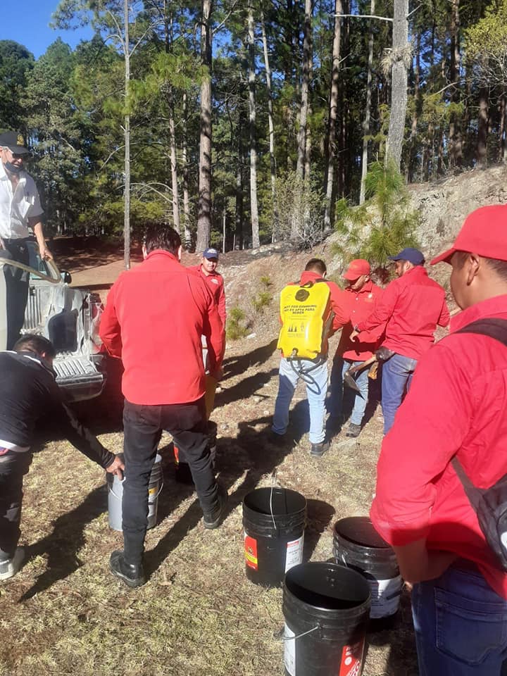 LA DIRECCIÓN DE ECOLOGÍA Y MEDIO AMBIENTE EN COORDINACIÓN CON PC MUNICIPAL ATACAN CONATO DE INCENDIO FORESTAL EN RANCHO NUEVO. – H. Ayuntamiento de San Cristóbal de Las Casas