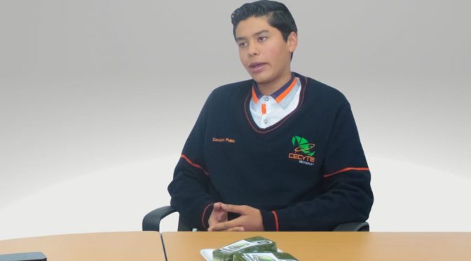 Un bocado de dulzura; así es el ate de aguacate que creó un alumno del Cecytem
