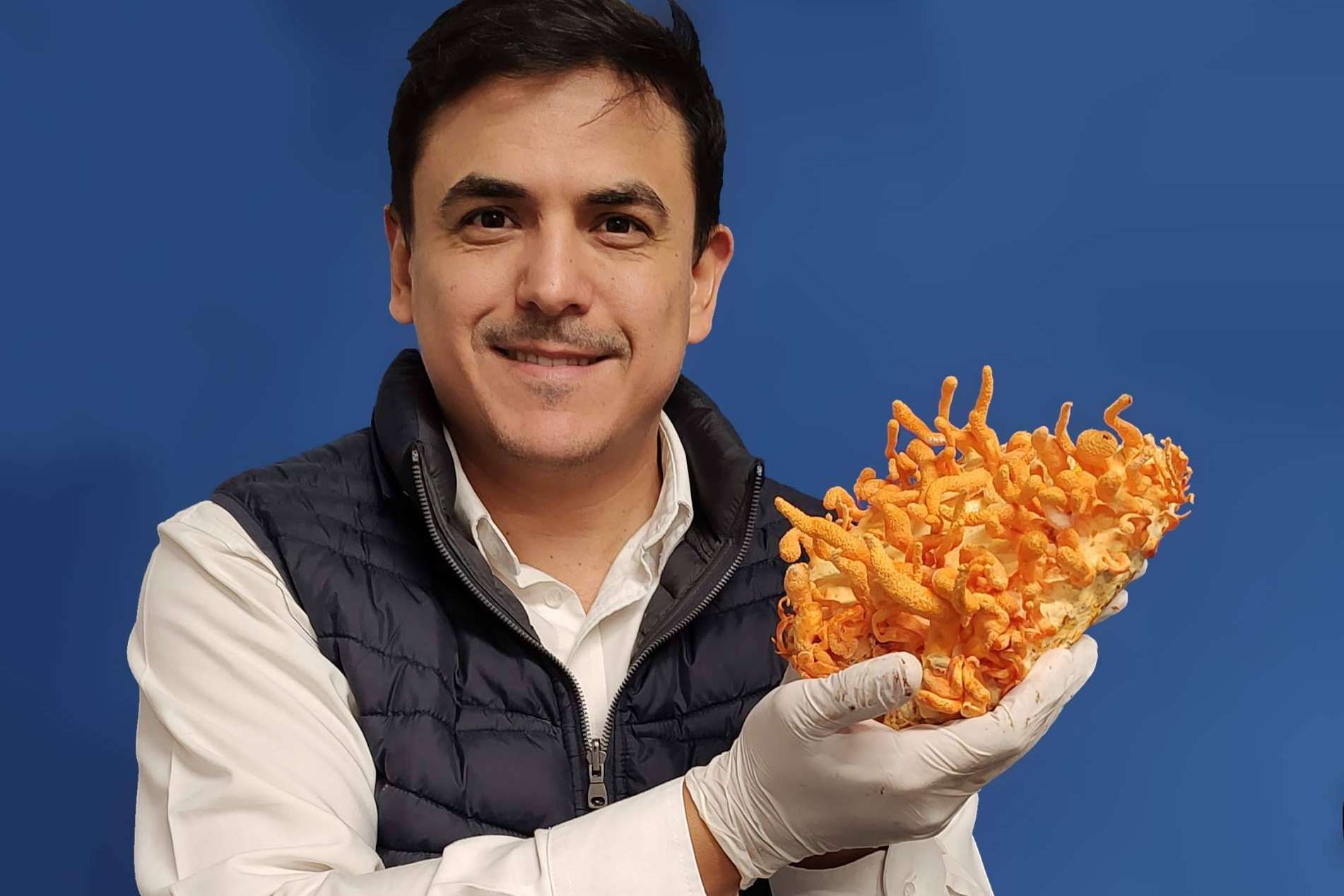 Conducido por el Dr. Efrén Robledo, 'Entre Hongos' se posiciona como referente en la divulgación micológica en México
