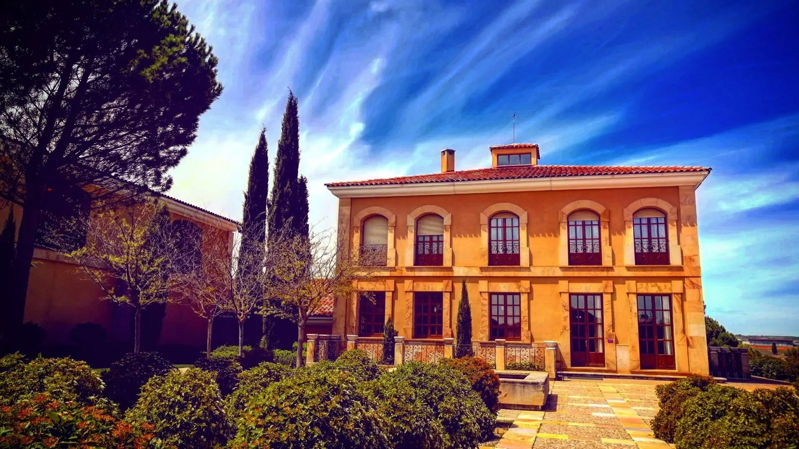 Tour de vinos frente a ir por cuenta propia; Wine Tours From Madrid explica el valor de una ruta organizada